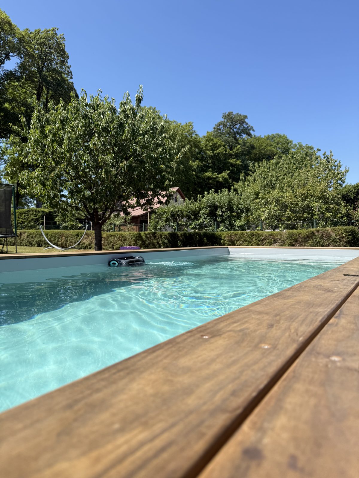 Piscine container avec robot nettoyeur et jardin arboré à Mirecourt (Vosges)